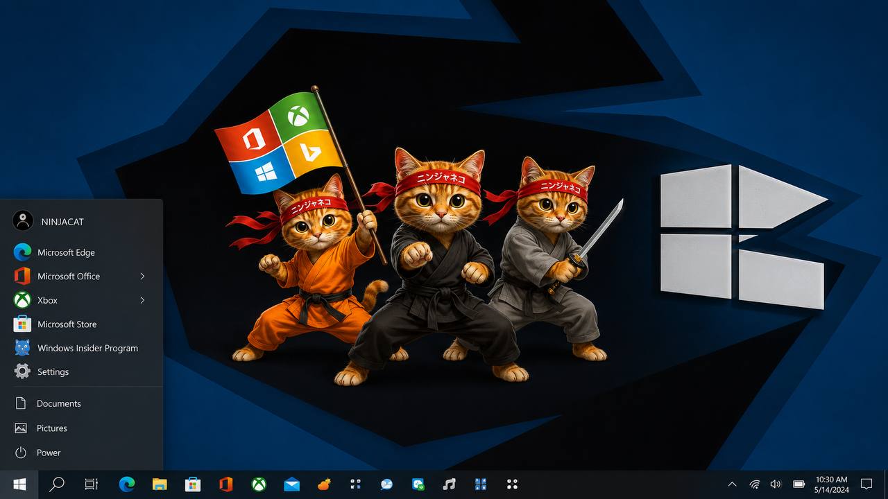 Ninja Cat desktop wallpaper from the Windows Insider era